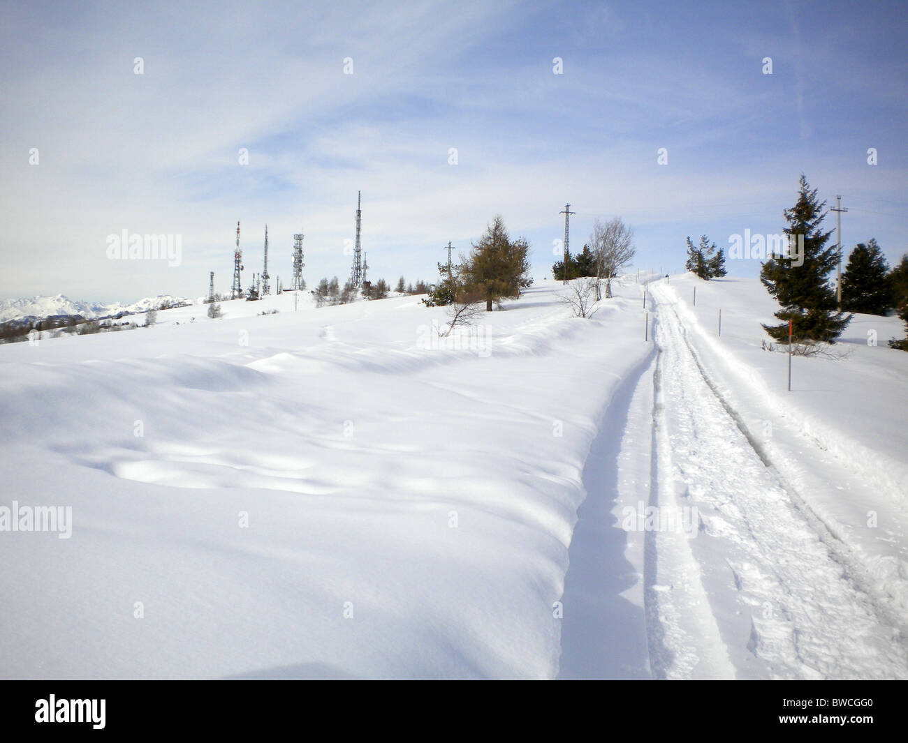 Winterlandschaft mit Schnee und Kiefer Bäume bewölktem Himmelshintergrund Stockfoto