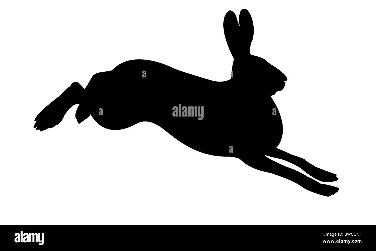 Silhouette des Kaninchens auf weißem Hintergrund Stockfoto