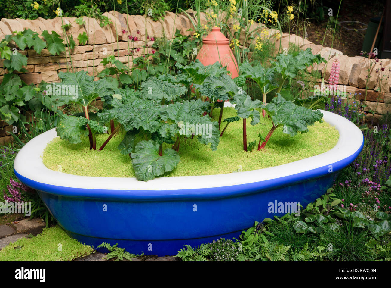 Willkommen bei Yorkshire Rhabarber und Vanillesauce inspirierten Garten auf der Chelsea Flower show 2010 Stockfoto