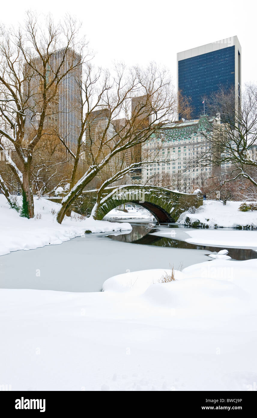Winter Schnee im Central Park in New York City mit der Plaza Hotel und dem Central Park South Skyline. Stockfoto