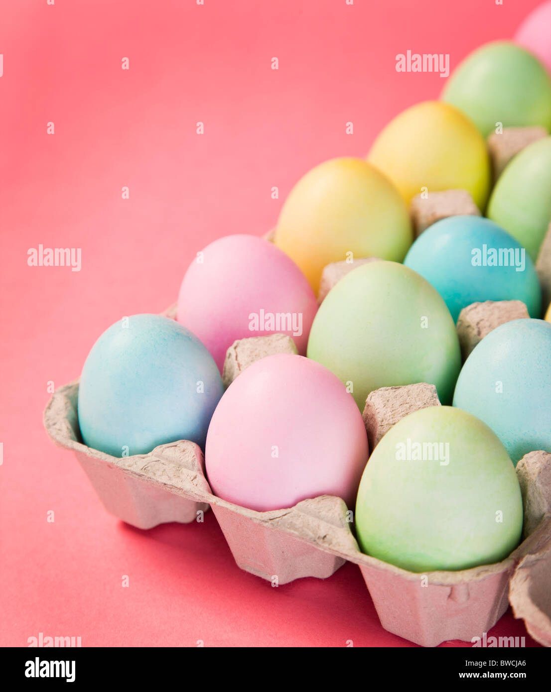 Studioaufnahme von Easter Eggs in Karton Stockfoto