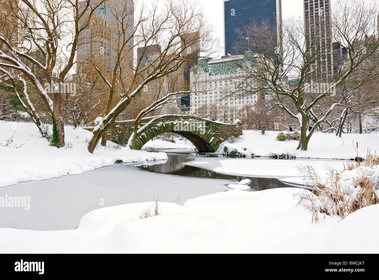 Winter Schnee im Central Park in New York City mit der Plaza Hotel und dem Central Park South Skyline. Stockfoto