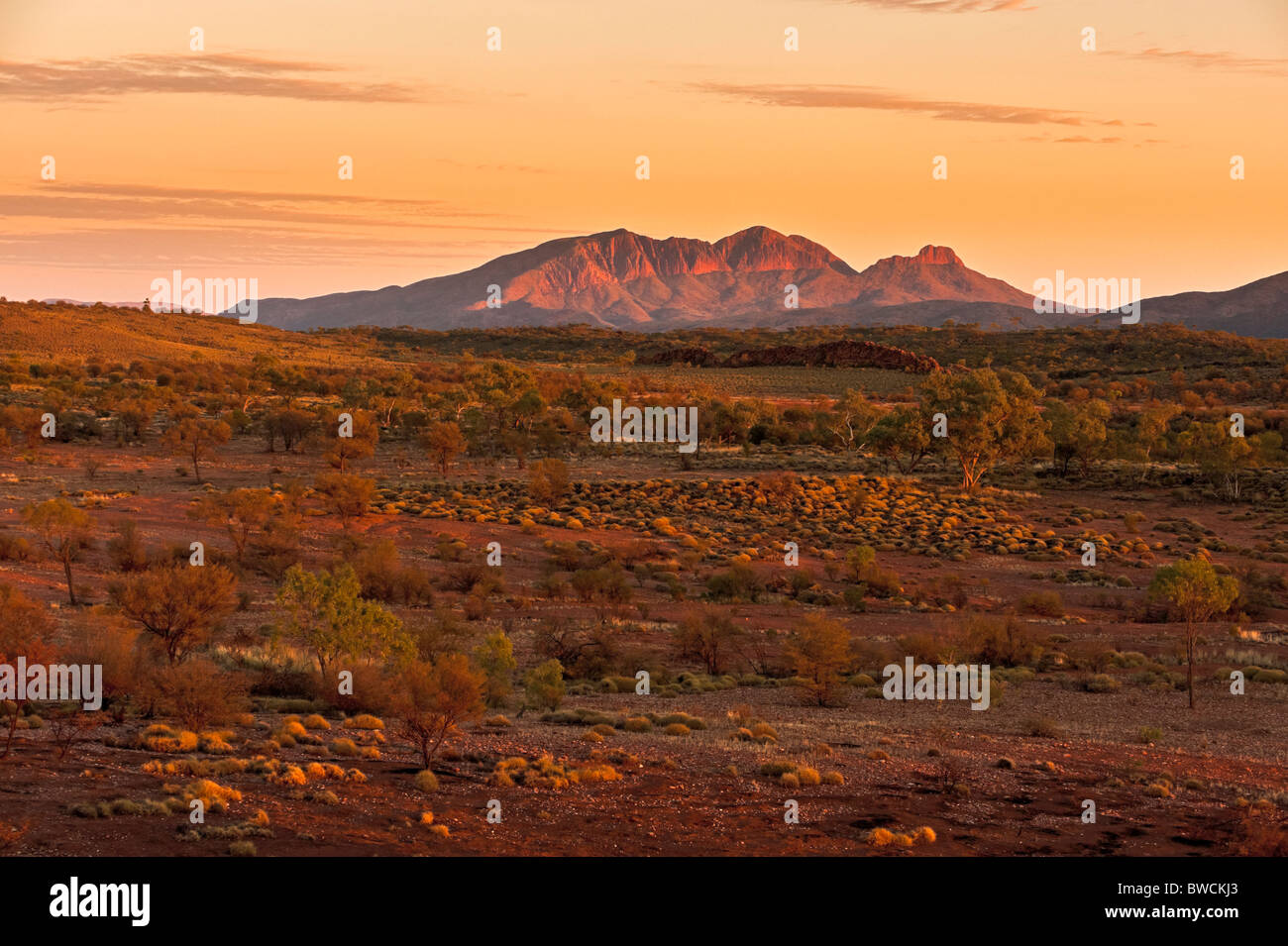 Mount Sonder oder Rwetyepme, West MacDonnell Ranges bei Sonnenaufgang. Northern Territory, Australien Stockfoto