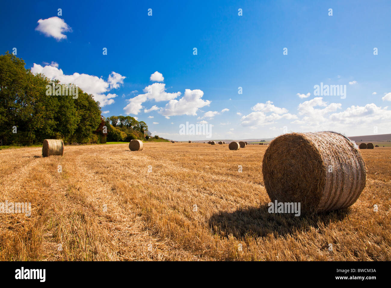 Heuernte in Feldern in der Nähe von Roundway Down, Wiltshire, England, UK Stockfoto