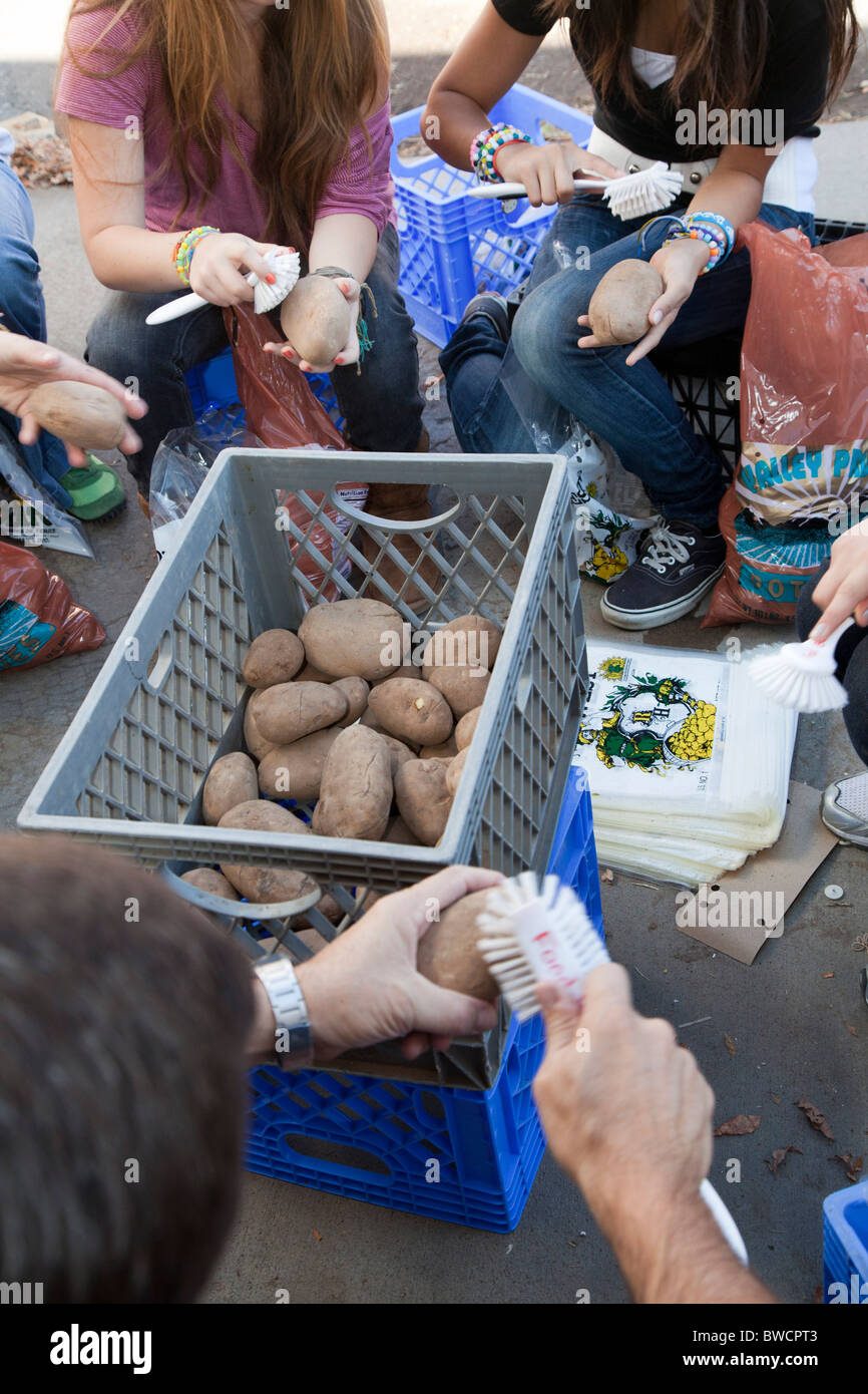 Freiwillige reinigen Kartoffeln bei Food Bank Stockfoto