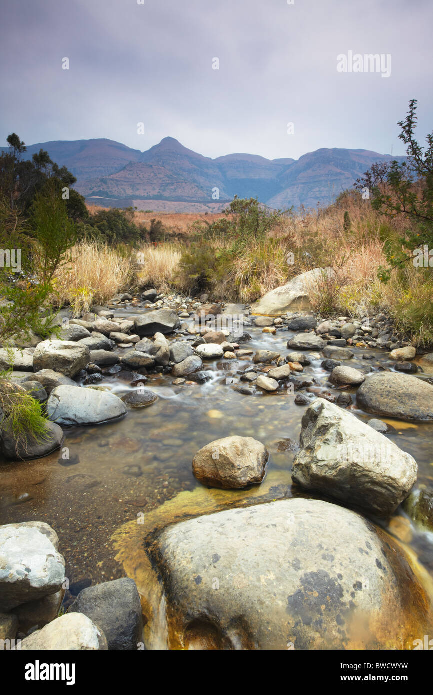 Mpofane River, Monks Cowl Naturschutzgebiet, Ukhahlamba Drakensberg Park, KwaZulu-Natal, Südafrika Stockfoto