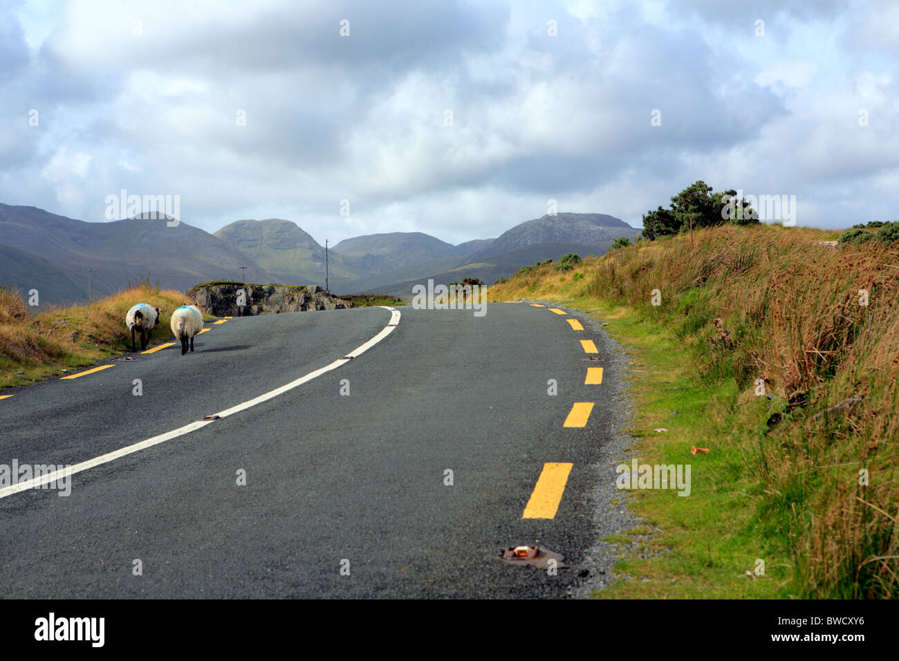 Connemara, Killary Harbour, County Galway, Irland Stockfoto