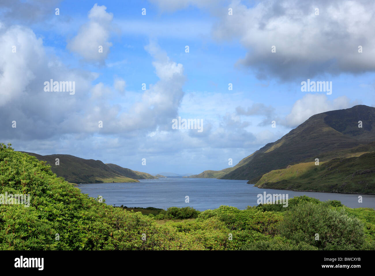Connemara, Killary Harbour, County Galway, Irland Stockfoto