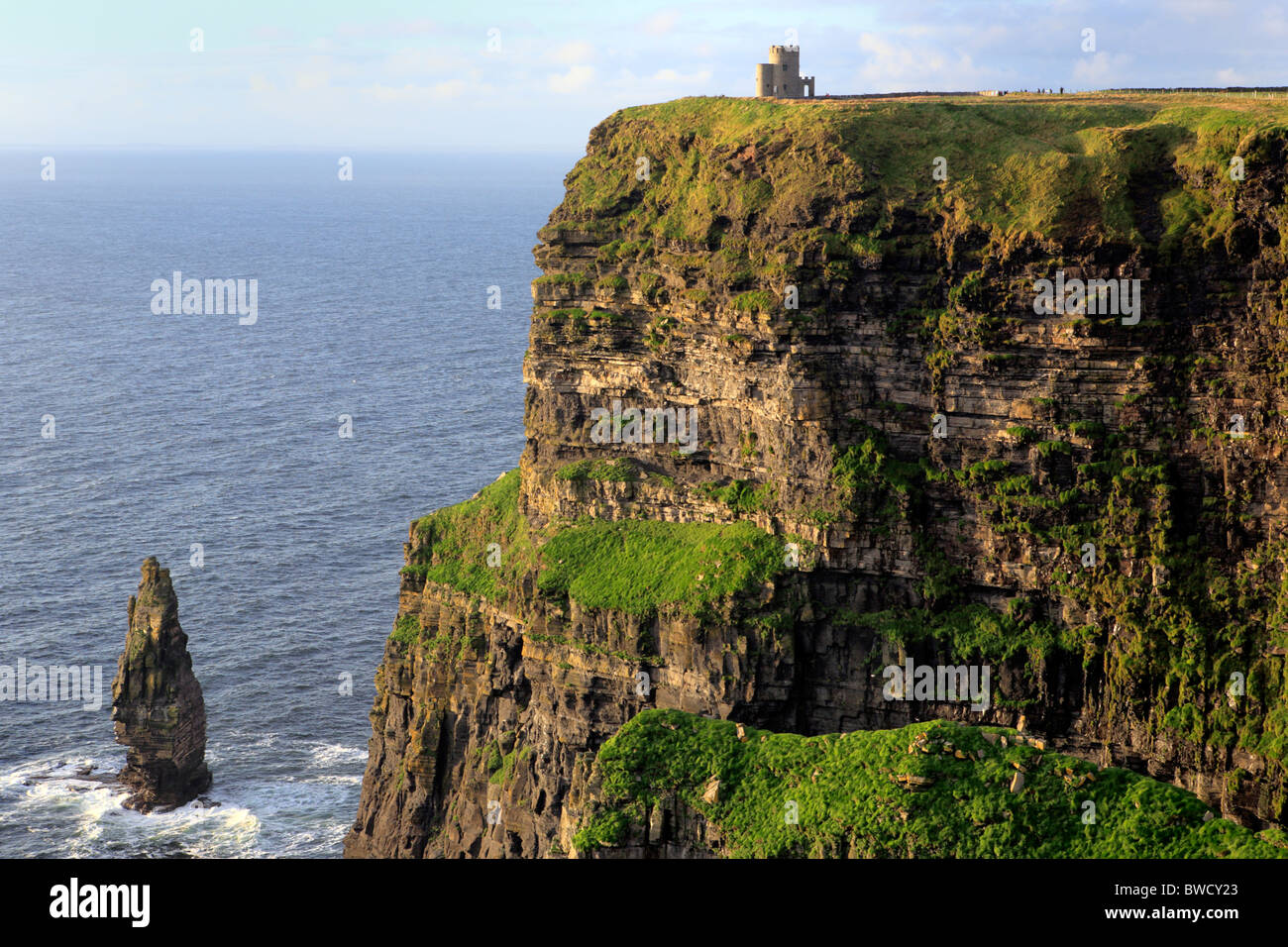 Cliffs of Moher, County Clare, Irland Stockfoto