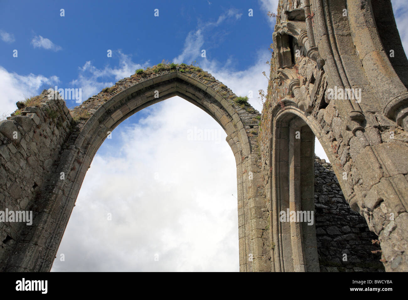 Franziskaner Kloster (14. Jahrhundert), Parliament, County Kildare, Irland Stockfoto