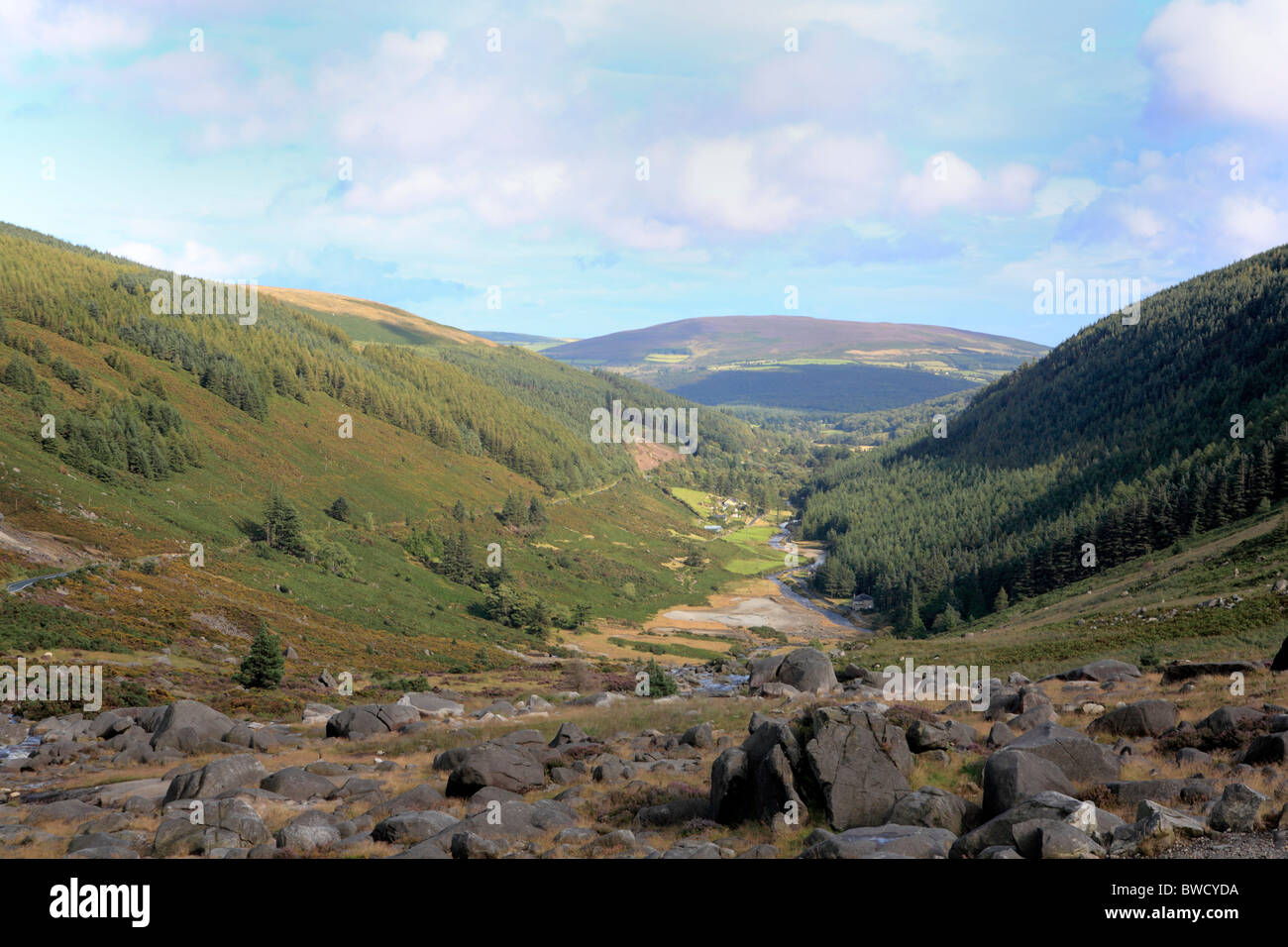 Wicklowberge in der Nähe von Dublin, Irland Stockfoto