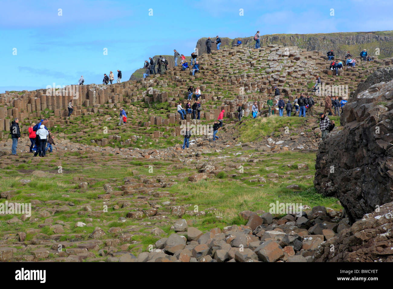 Giant es Causeway, Causeway-Küste, Nord-Irland Stockfoto