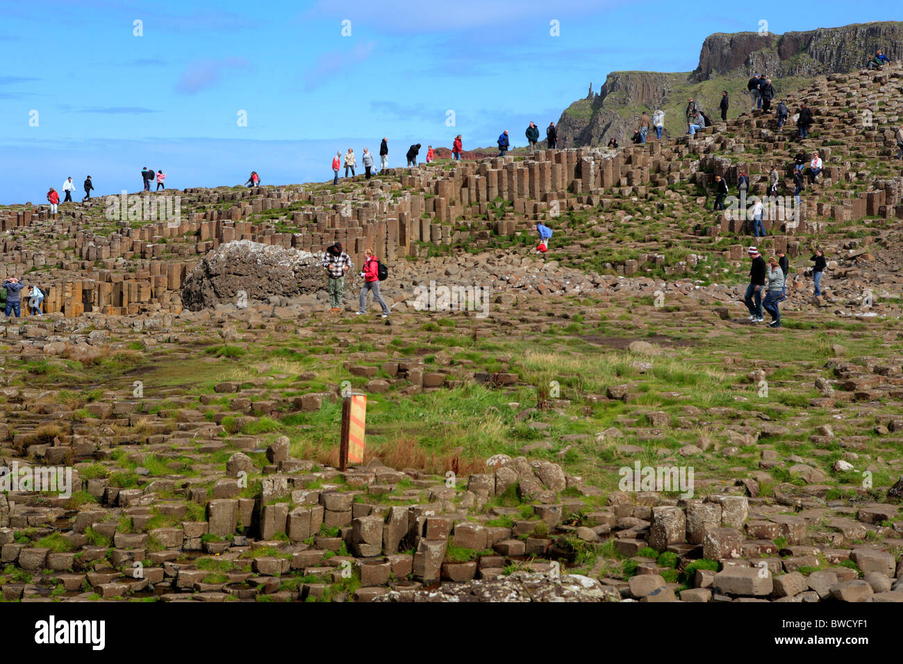 Giant es Causeway, Causeway-Küste, Nord-Irland Stockfoto
