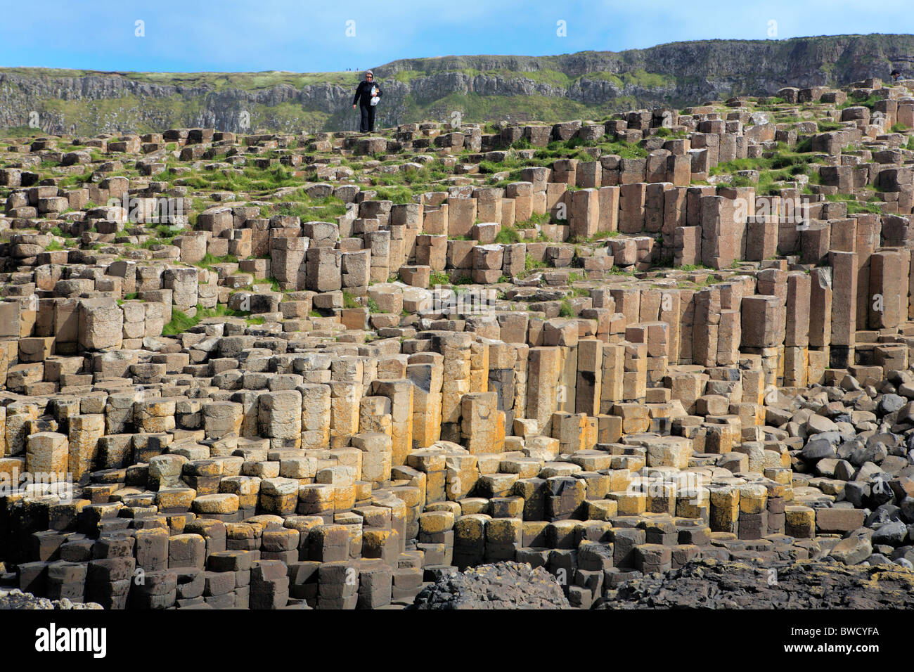 Giant es Causeway, Causeway-Küste, Nord-Irland Stockfoto