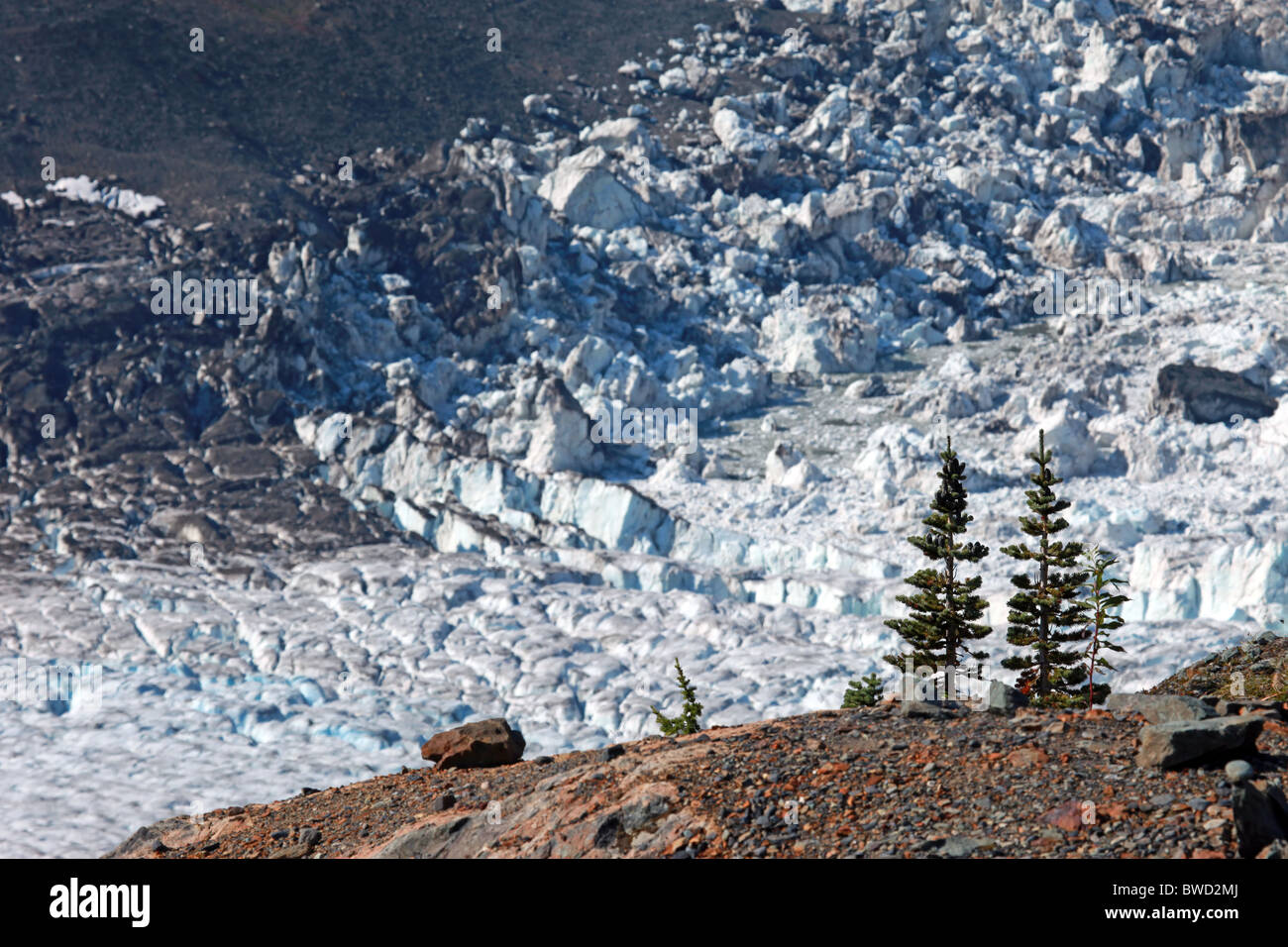 Gletschereis Strömung an einem Berghang Alaska. Stockfoto