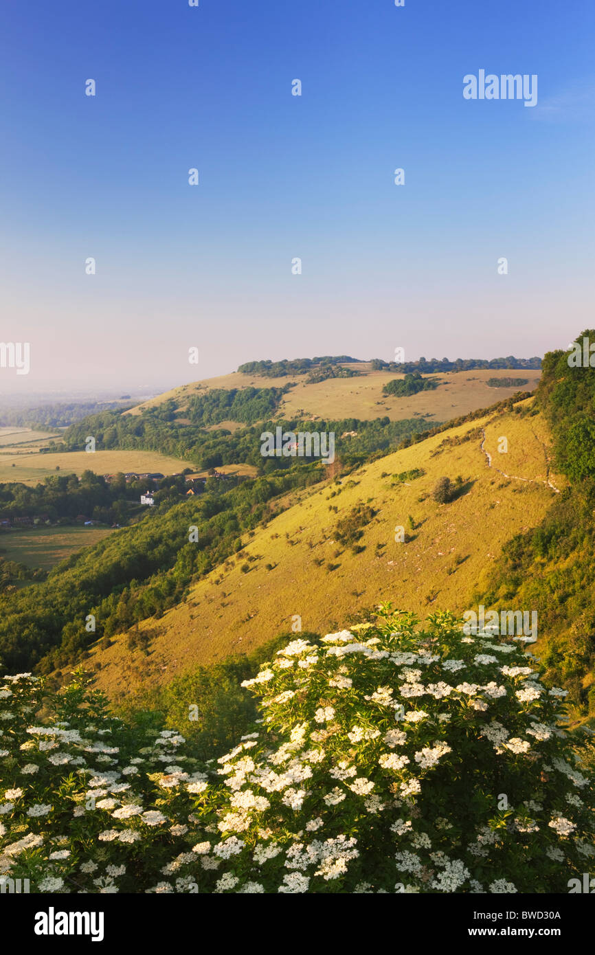 Sonnenuntergang über den South Downs; West Sussex; England, Großbritannien Stockfoto