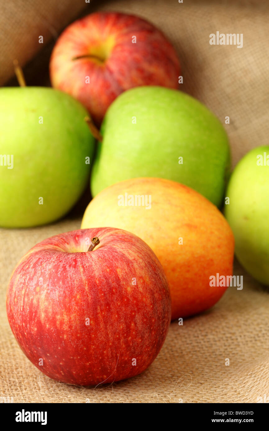 Äpfel Stockfoto