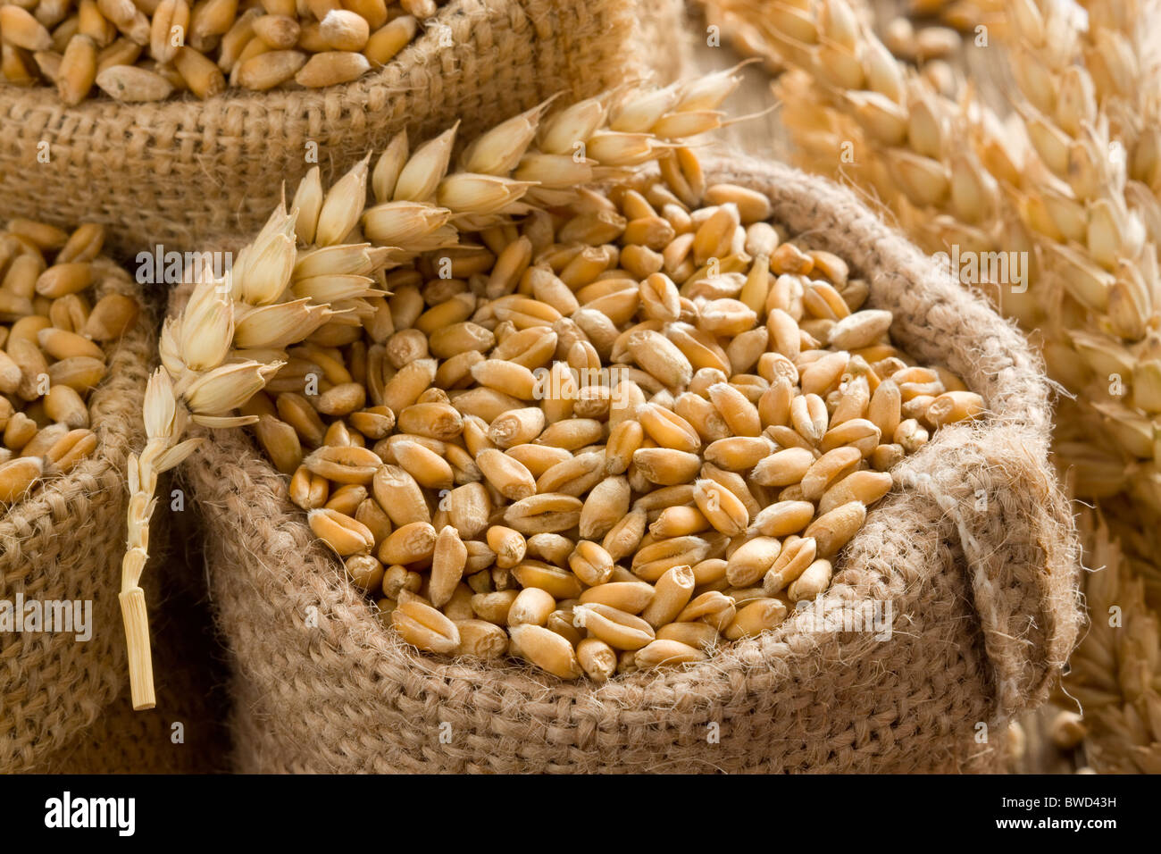 Weizen in kleiner Leinensack Stockfoto