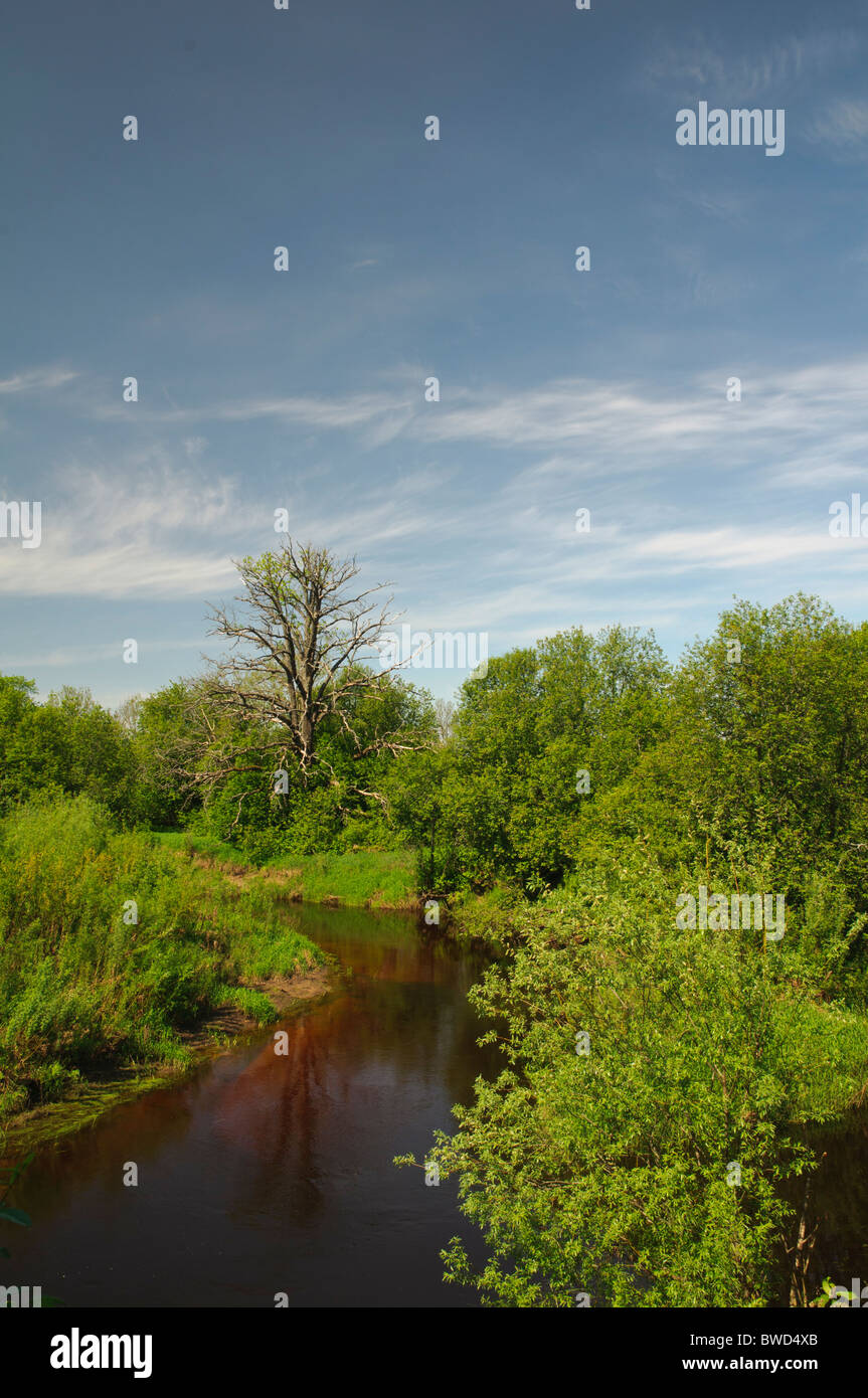 Anliegerstaaten Lebensräume auf Mäander des Flusses Pededze Stockfoto