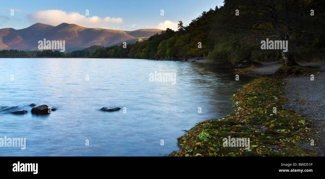 Derwent Water Blickrichtung Skiddaw Stockfoto