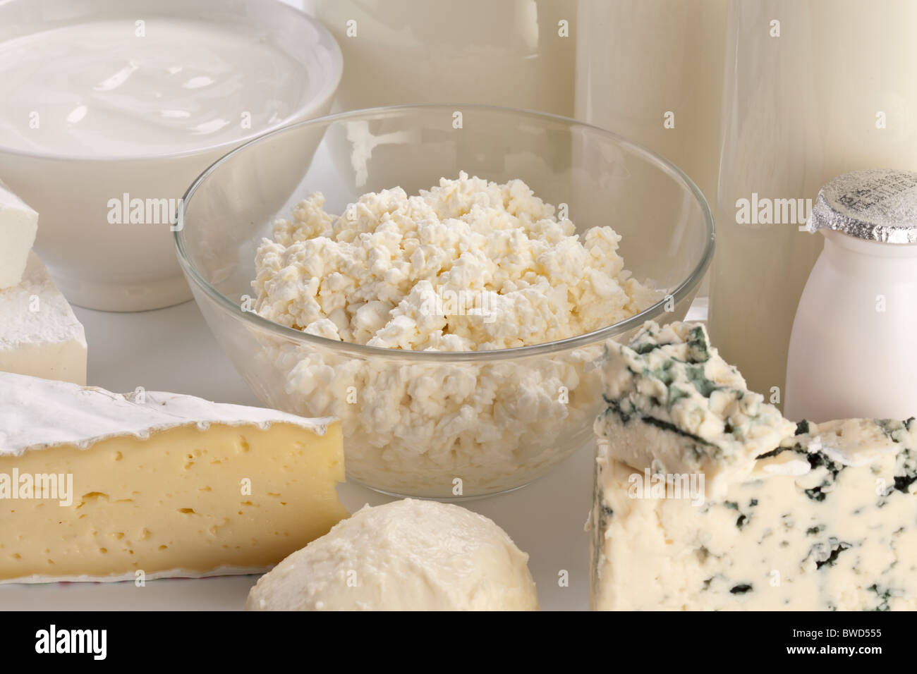 Verschiedene Milchprodukte: Käse; Creme; Milch. Auf einem weißen Hintergrund. Stockfoto