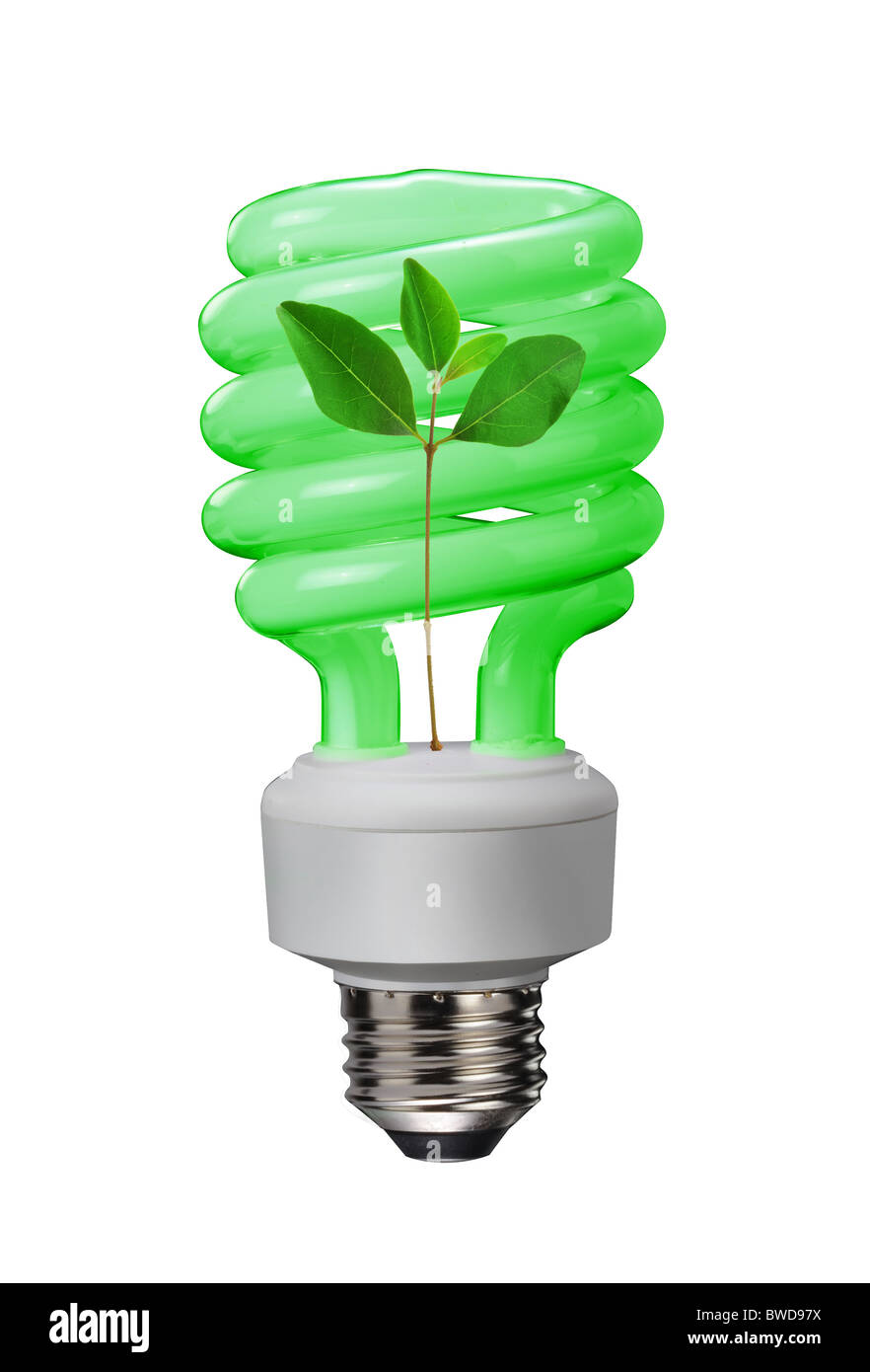 Leuchtstoff Glühlampen sind wahre Ökostrom und sparen viel Geld und Energie. Stockfoto