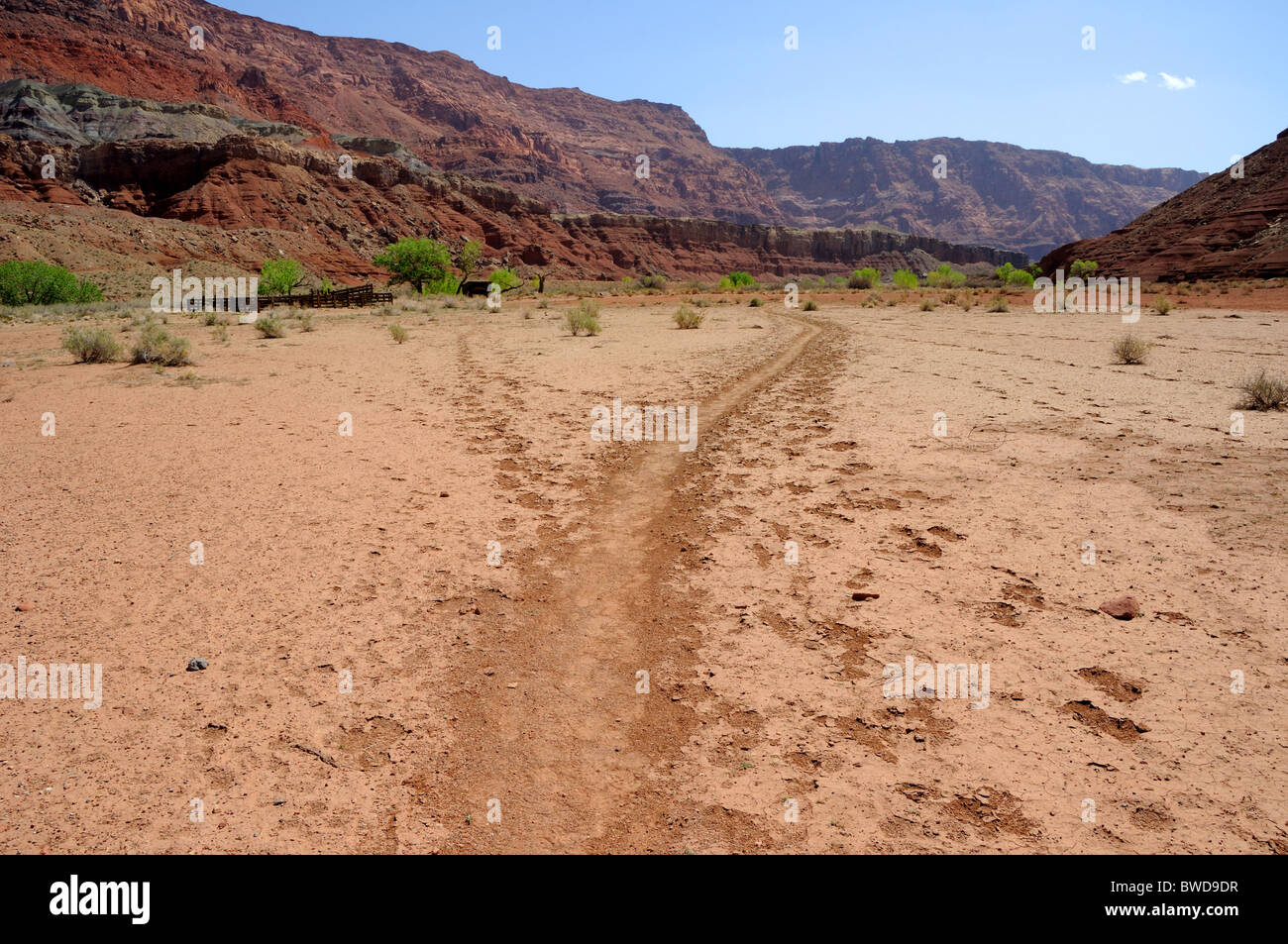 Paria Canyon Wildnis Wanderweg Stockfoto