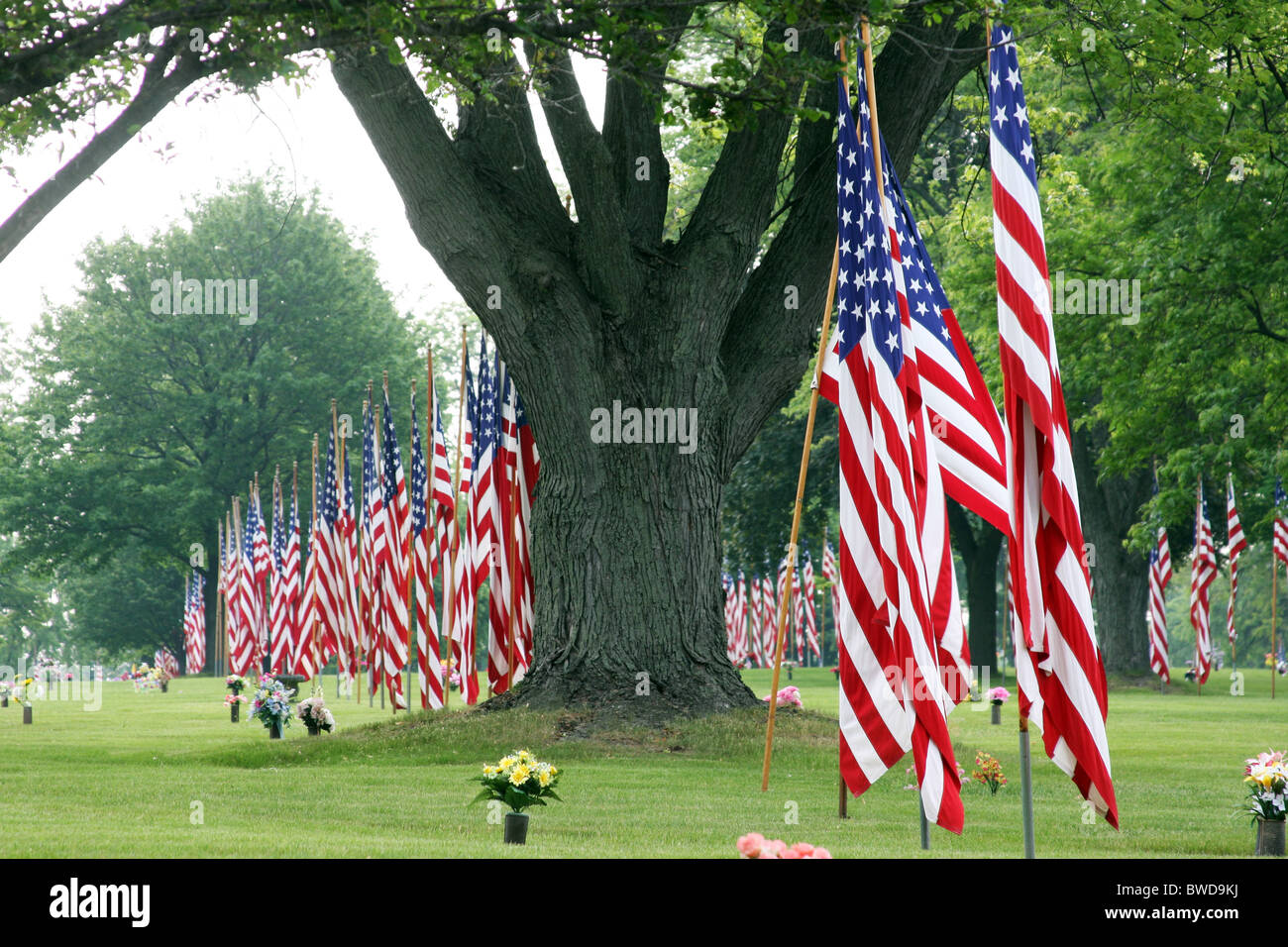 Memorial Day Nahaufnahme von amerikanischen Flaggen an der Wisconsin Memorial Park und Friedhof Brookfield Wisconsin WI Stockfoto