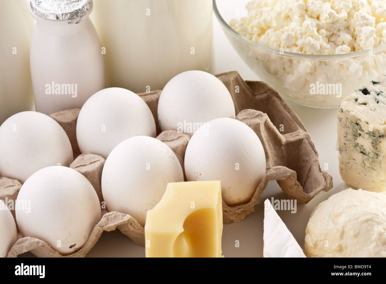 Protein-Produkte: Käse, Sahne, Milch, Eiern. Auf einem weißen Hintergrund. Stockfoto