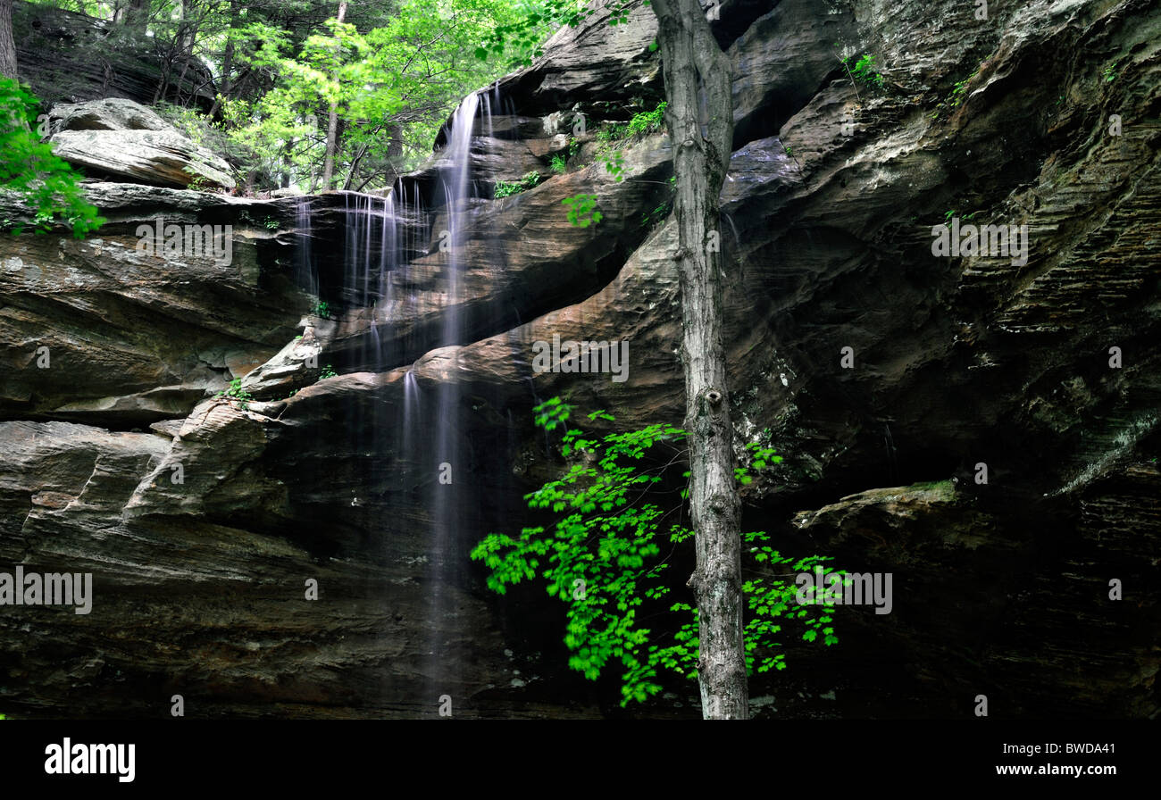 Falls Wasserfall John B. Stephenson Memorial Wald Zustand Natur bewahren Rockcastle county Kentucky USA Anglin Stockfoto