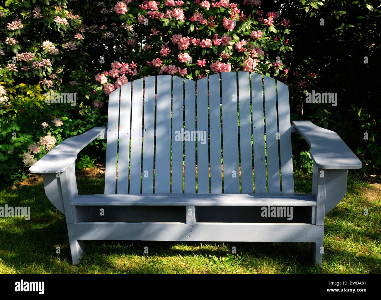 rustikale weiße Holz Holz Gartenbank Möbel Setaing rosa Rhododendron Hecke Hintergrund Stockfoto