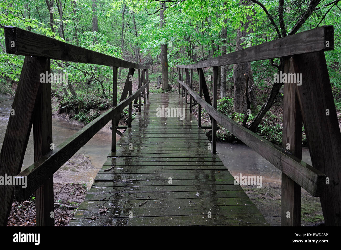 Regen fällt auf nassen Holz Holz Fuß Brücke Steg Grayson Lake State Park Kentucky USA slippy fettig Stockfoto