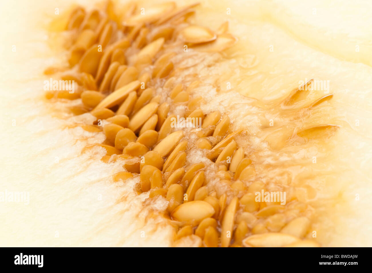 Nahaufnahme von Samen einer Gelbe Melone halbieren Stockfoto