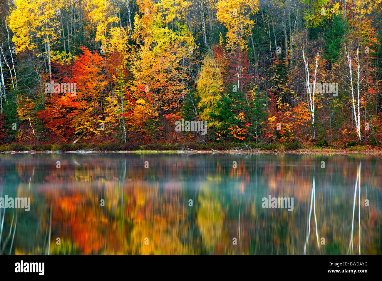 Morgennebel steigt von Mokassin-See mit Herbst Reflexion in der oberen Halbinsel von Michigan. Stockfoto