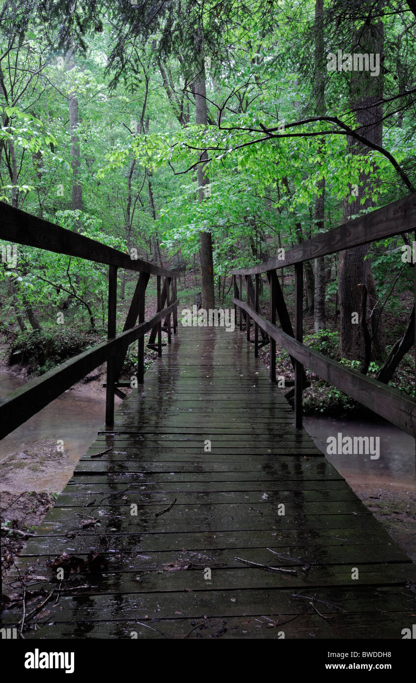 Regen fällt auf nassen Holz Holz Fuß Brücke Steg Grayson Lake State Park Kentucky USA slippy fettig Stockfoto