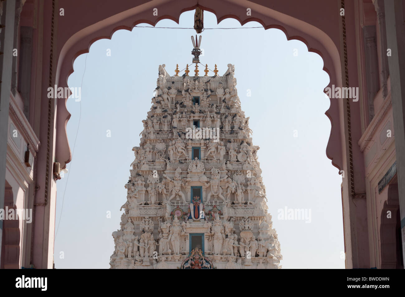 Rangnath Tempel, Pushkar Stockfoto