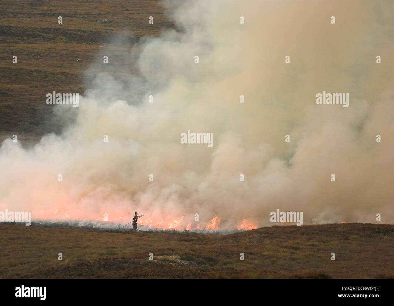 Muirburn gesteuerte Verbrennung von Heather auf Moorland Inverness-Shire-Hochland Stockfoto