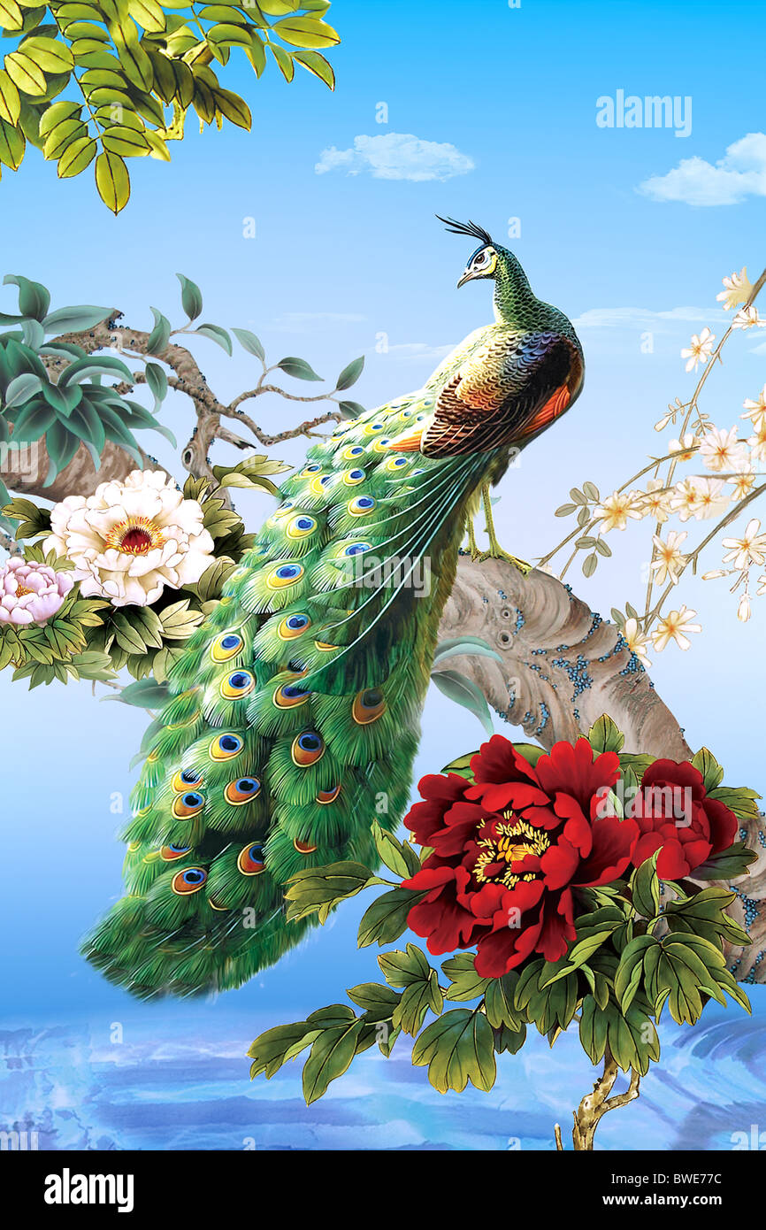 Pfau, Vögel, Blumen, Pfingstrose, Bäume, Blätter, chinesische Malerei Stockfoto