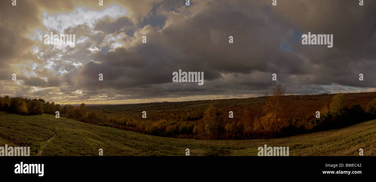 Allgemeine Landschaftsbild in Ashdown Forest, Großbritannien England genommen Stockfoto