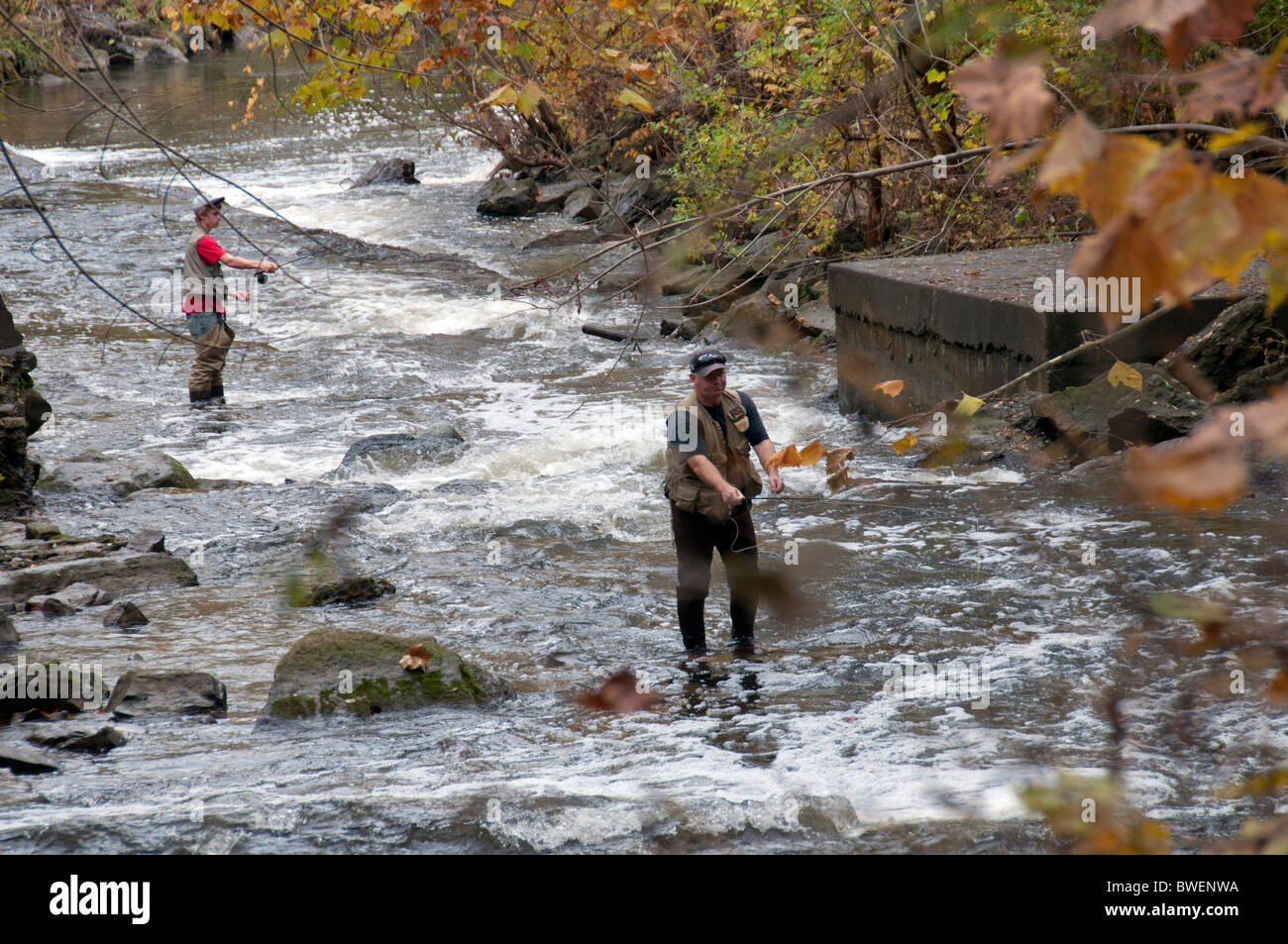 Angeln auf Forellen im Irondequoit Creek Penfield NY USA Stockfoto