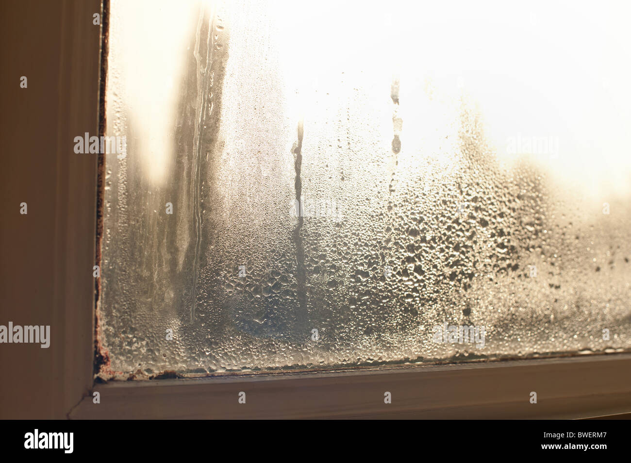 Fehlgeschlagen doppel Isolierverglasung Fenster Fenster in einem Holzrahmen mit Tröpfchen von Kondensation und feuchten Förderung von Fäulnis und Zerfall Stockfoto