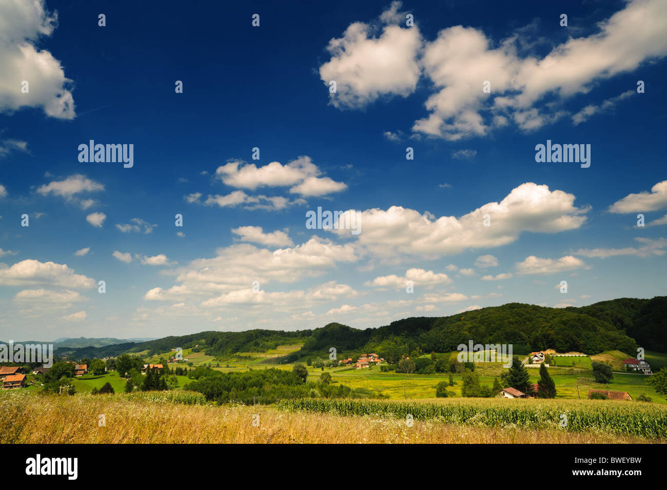 Idyllische Landschaft. Ländliches Motiv unter blauem Himmel. Kroatien, Zagorje Stockfoto