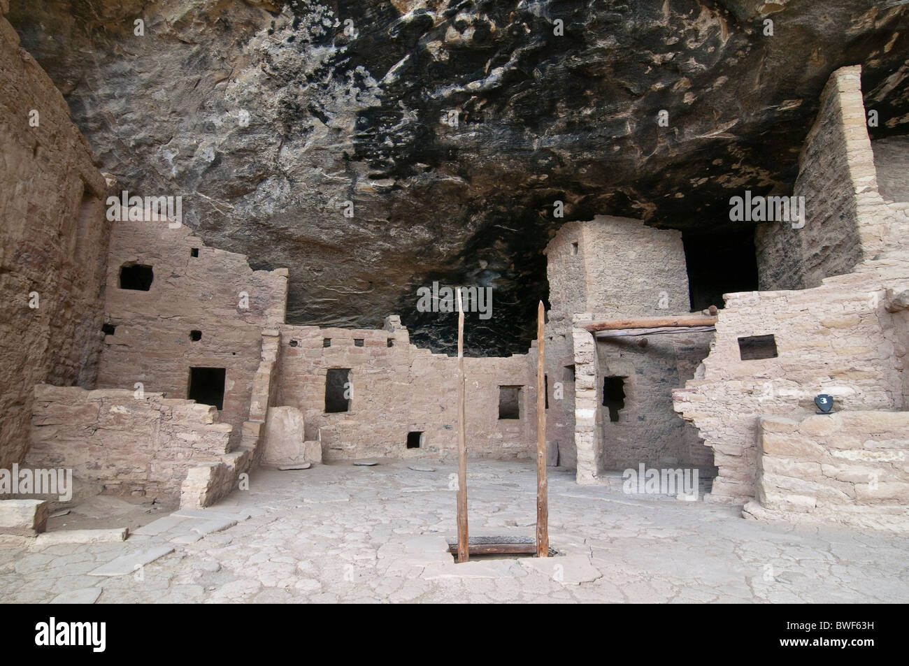 Fichte Baumhaus, eine Klippe Wohnung des angestammten Pueblo-Indianer, etwa 1250 Jahre alt, Mesa Verde Nationalpark Stockfoto