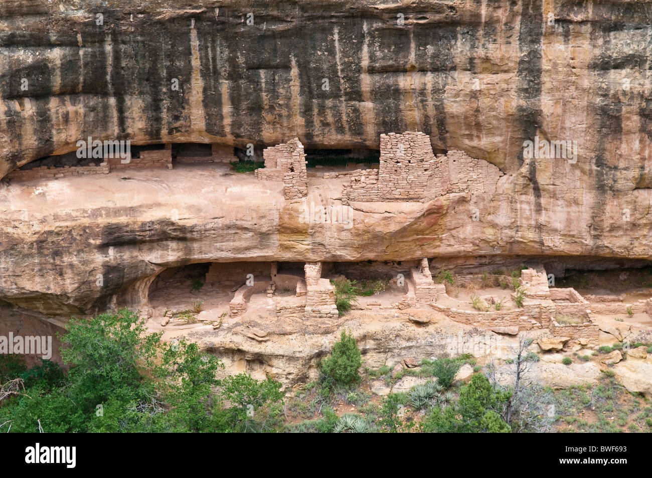 Neue Fire House, eine Klippe Wohnung des angestammten Pueblo-Indianer, etwa 1250 Jahre alt, Mesa Verde Nationalpark Stockfoto