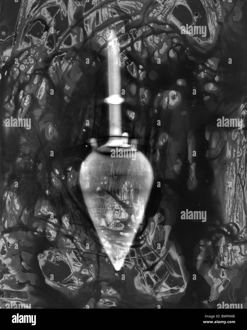 traditionellen Dunkelkammer-Praxis und Fotogramm Produktion mit chemischen Verarbeitung Fotopapier ShadowCatchers Stockfoto