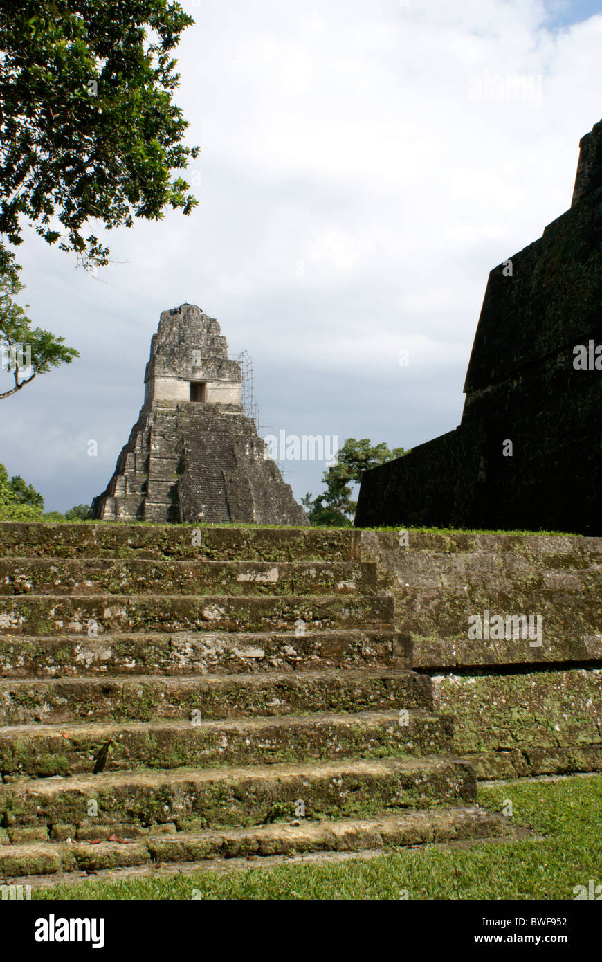 Tempel I oder Tempel der Großen Jaguar, Maya Ruinen von Tikal, El Peten, Guatemala. Tikal ist ein UNESCO-Weltkulturerbe. Stockfoto