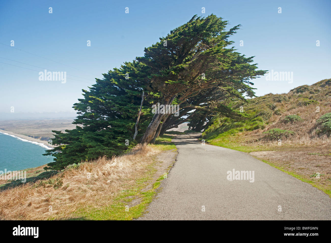 Point Reyes Leuchtturm. Stockfoto