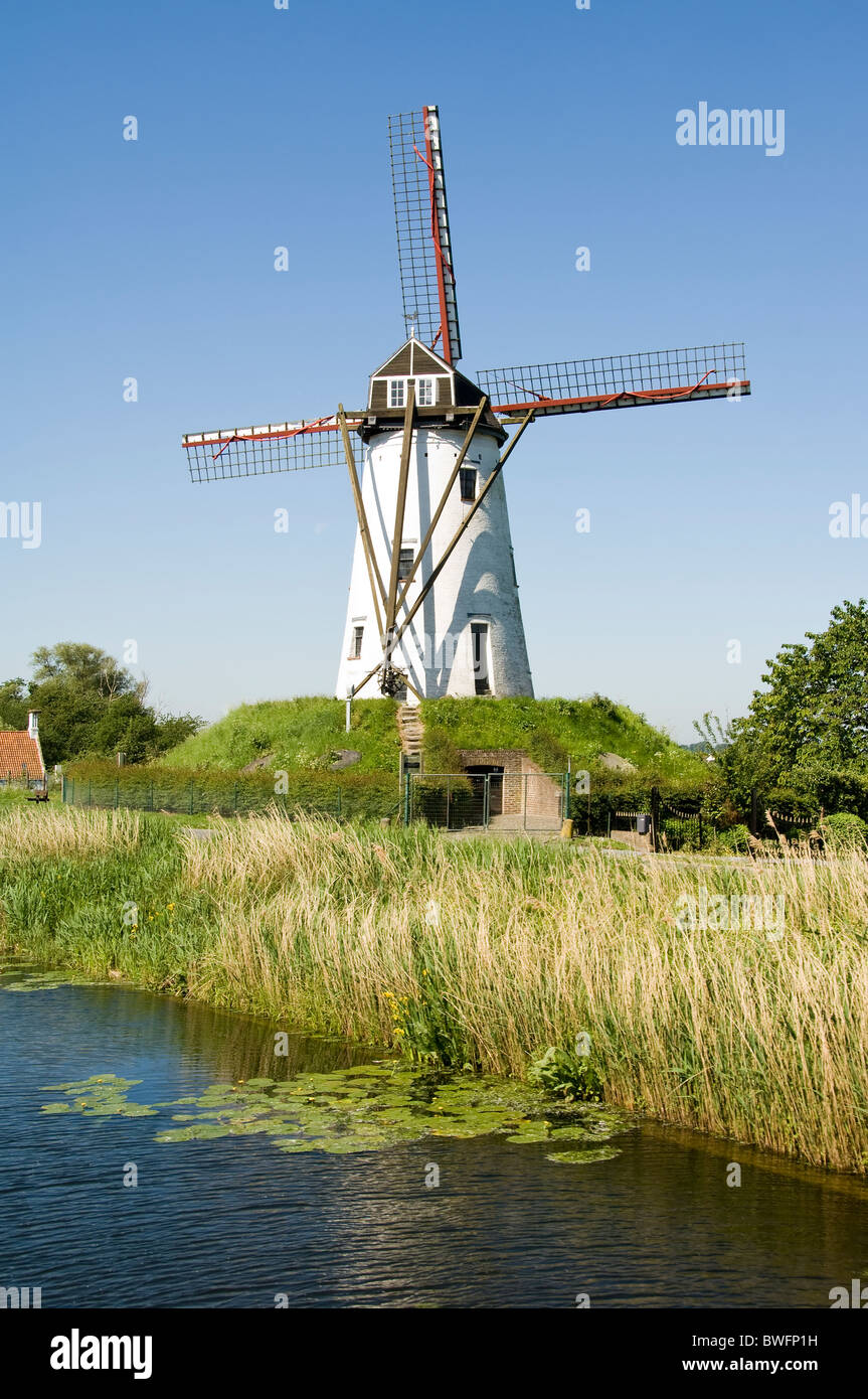 Windmühle entlang des Kanals von Damme nach Brügge, flämische Region, Belgien Stockfoto