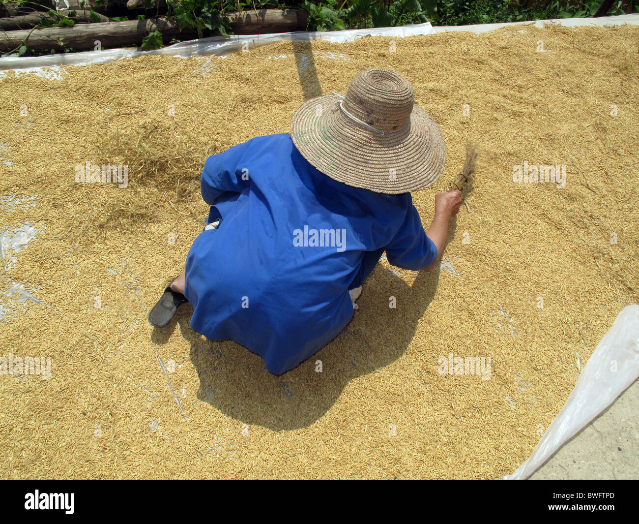 Dong Minderheit Chengyang Dorf in Sanjiang, Provinz Guangxi, China Stockfoto