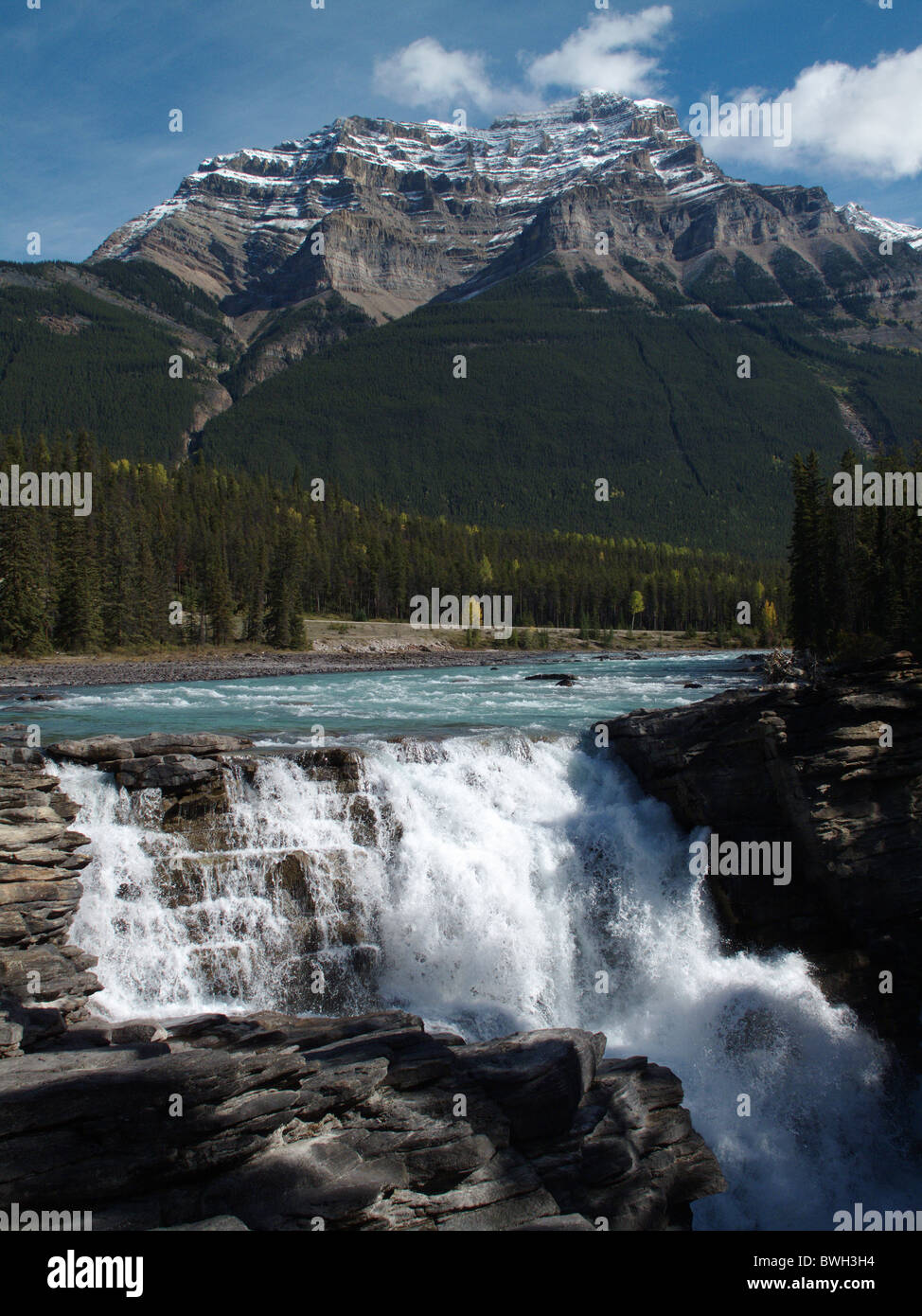 Athabasca fällt auf dem oberen Athabasca River im Jasper-Nationalpark in den kanadischen Rocky Mountains in Alberta Stockfoto